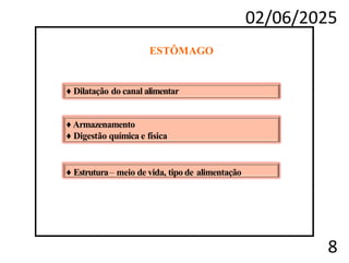02/06/2025
8
ESTÔMAGO
♦ Dilatação do canalalimentar
♦ Armazenamento
♦ Digestão química efísica
♦ Dilatação do canal alimentar
♦ Armazenamento
♦ Digestão química e física
♦ Estrutura– meio de vida, tipo de alimentação
 