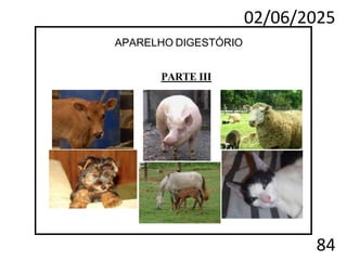 02/06/2025
84
APARELHO DIGESTÓRIO
PARTE III
 