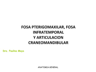 FOSA PTERIGOMAXILAR, FOSA INFRATEMPORAL Y ARTICULACION CRANEOMANDIBULAR ANATOMIA GENERAL Dra. Paulina Moya 
