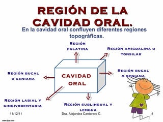 Topografica regiones de la cara | PPT