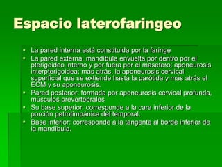 Espacio laterofaringeo
  La pared interna está constituida por la faringe
  La pared externa: mandíbula envuelta por dentro por el
   pterigoideo interno y por fuera por el masetero; aponeurosis
   interpterigoidea; más atrás, la aponeurosis cervical
   superficial que se extiende hasta la parótida y más atrás el
   ECM y su aponeurosis.
  Pared posterior: formada por aponeurosis cervical profunda,
   músculos prevertebrales
  Su base superior: corresponde a la cara inferior de la
   porción petrotimpánica del temporal.
  Base inferior: corresponde a la tangente al borde inferior de
   la mandíbula.
 