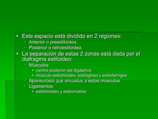  Este espacio está dividido en 2 regiones:
    Anterior o preestiloidea.
    Posterior o retroestiloidea.
 La separación de estas 2 zonas está dada por el
  diafragma estiloideo:
    Músculos:
        vientre posterior del digástrico
        músculo estilohioideo, estilogloso y estilofaringeo
    Aponeurosis que envuelve a estos músculos
    Ligamentos:
        estilohioideo y estilomaxilar
 