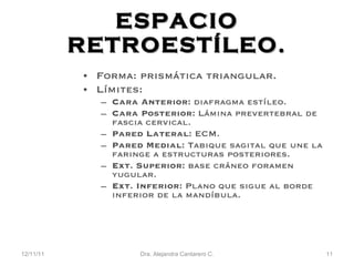 ESPACIO RETROEST ÍLEO. Forma: prismática triangular. Límites: Cara Anterior:  diafragma est íleo. Cara Posterior:  Lámina prevertebral de fascia cervical. Pared Lateral:  ECM. Pared Medial:  Tabique sagital que une la faringe a estructuras posteriores. Ext. Superior:  base cráneo foramen yugular. Ext. Inferior:  Plano que sigue al borde inferior de la mand íbula. 12/11/11 Dra. Alejandra Cantarero C. 