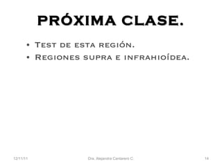 PR ÓXIMA CLASE. Test de esta regi ón. Regiones supra e infrahioídea. 12/11/11 Dra. Alejandra Cantarero C. 