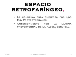 ESPACIO   RETROFAR ÍNGEO . La columna está cubierta por los Ms. Prevertebrales. Anteriormente por la lámina prevertebral de la fascia cervical. 12/11/11 Dra. Alejandra Cantarero C. 