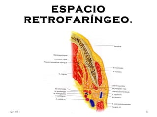 ESPACIO RETROFAR ÍNGEO. 12/11/11 Dra. Alejandra Cantarero C. 