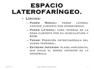 ESPACIO LATEROFAR ÍNGEO. L ímites: Pared Medial:  pared lateral far inge cubierta por aponeurosis. Pared Lateral:  cara interna de la rama cubierta por su musculatura y ECM. Techo:  Posrción petrotimpánica del hueso temporal. Extremo Inferior:  plano horizontal que sigue el borde inferior de la mandíbula. 12/11/11 Dra. Alejandra Cantarero C. 