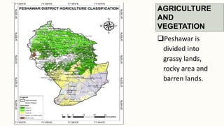 AGRICULTURE
AND
VEGETATION
Peshawar is
divided into
grassy lands,
rocky area and
barren lands.
 