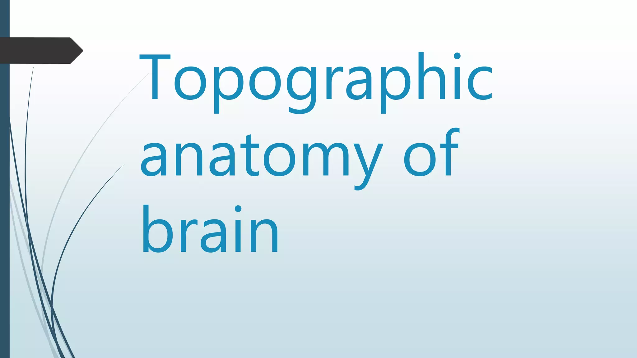 Topographic
anatomy of
brain
 