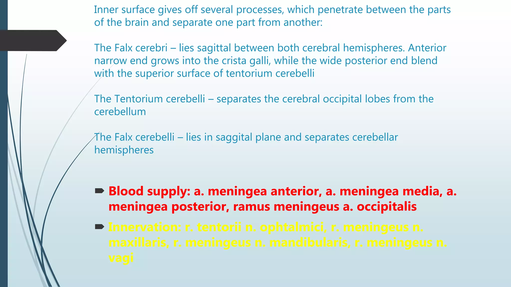 Inner surface gives off several processes, which penetrate between the parts
of the brain and separate one part from another:
The Falx cerebri – lies sagittal between both cerebral hemispheres. Anterior
narrow end grows into the crista galli, while the wide posterior end blend
with the superior surface of tentorium cerebelli
The Tentorium cerebelli – separates the cerebral occipital lobes from the
cerebellum
The Falx cerebelli – lies in saggital plane and separates cerebellar
hemispheres
 Blood supply: a. meningea anterior, a. meningea media, a.
meningea posterior, ramus meningeus a. occipitalis
 Innervation: r. tentorii n. ophtalmici, r. meningeus n.
maxillaris, r. meningeus n. mandibularis, r. meningeus n.
vagi
 