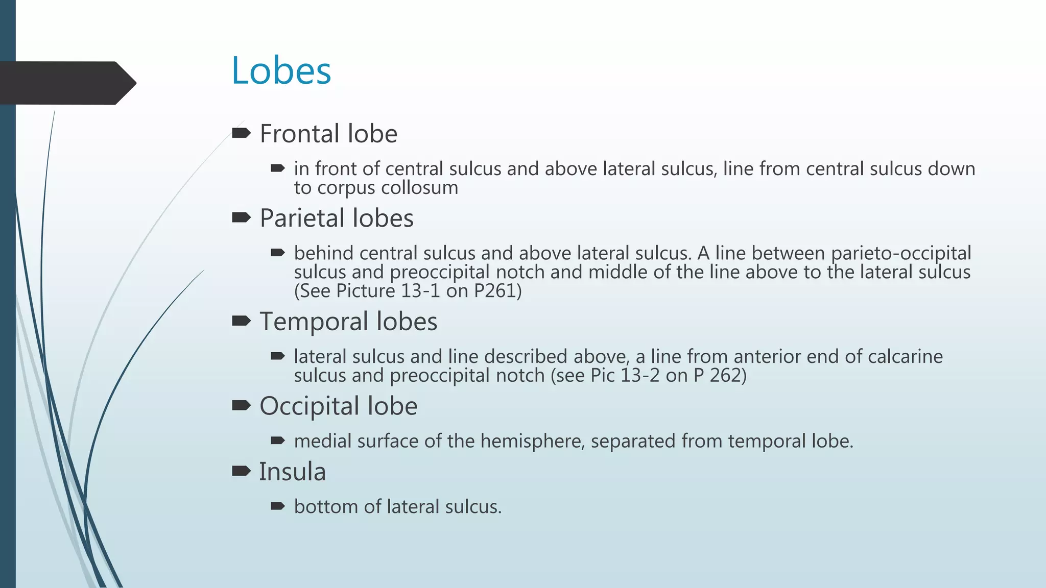 Lobes
 Frontal lobe
 in front of central sulcus and above lateral sulcus, line from central sulcus down
to corpus collosum
 Parietal lobes
 behind central sulcus and above lateral sulcus. A line between parieto-occipital
sulcus and preoccipital notch and middle of the line above to the lateral sulcus
(See Picture 13-1 on P261)
 Temporal lobes
 lateral sulcus and line described above, a line from anterior end of calcarine
sulcus and preoccipital notch (see Pic 13-2 on P 262)
 Occipital lobe
 medial surface of the hemisphere, separated from temporal lobe.
 Insula
 bottom of lateral sulcus.
 