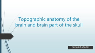 Topographic anatomy of the
brain and brain part of the skull
Rustam Sultonov
 