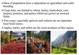 Most of population here is dependent on agriculture and cattle
breeding.
Crops here, are limited to wheat, barley, buckwheat, corn
(maize), potatoes, and pulses which are grown on terraced
fields.
Tree crops, especially apricots and walnuts are an important
local food source.
Apples, barley and millet are the main products of this region.
 