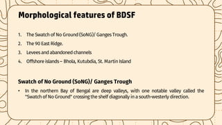 Topography and sediments of the floor of the Bay of Bengal | PDF