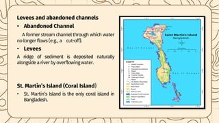Topography and sediments of the floor of the Bay of Bengal | PDF