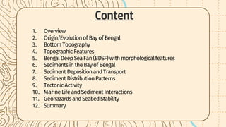 Topography and sediments of the floor of the Bay of Bengal | PDF