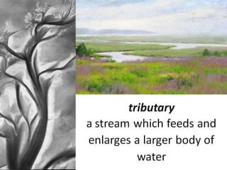 Topography