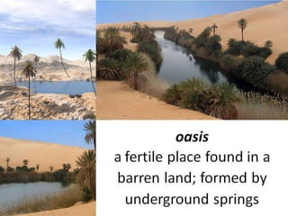 Topography