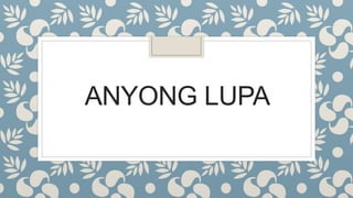ANYONG LUPA
 
