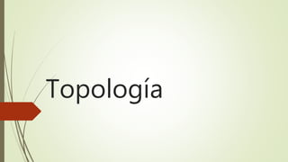 Topología
 