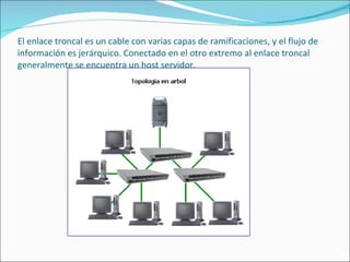 El enlace troncal es un cable con varias capas de ramificaciones, y el flujo de información es jerárquico. Conectado en el otro extremo al enlace troncal generalmente se encuentra un host servidor.  