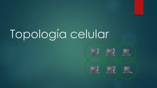 Topología celular

 