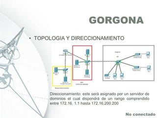 Gorgona