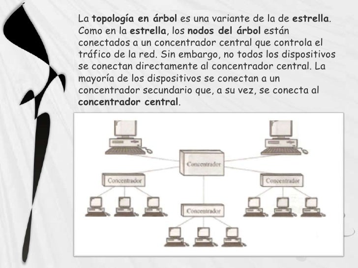 Topologia jerarquica
