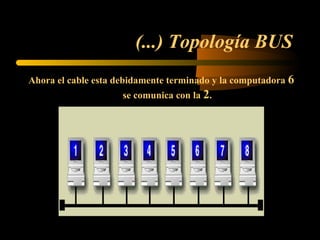 (...) Topología BUS
Ahora el cable esta debidamente terminado y la computadora 6
                     se comunica con la 2.
 