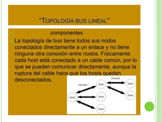 “TOPOLOGÍA BUS LINEAL” 
 componentes 
 La topología de bus tiene todos sus nodos 
conectados directamente a un enlace y no tiene 
ninguna otra conexión entre nodos. Físicamente 
cada host está conectado a un cable común, por lo 
que se pueden comunicar directamente, aunque la 
ruptura del cable hace que los hosts queden 
desconectados. 
 