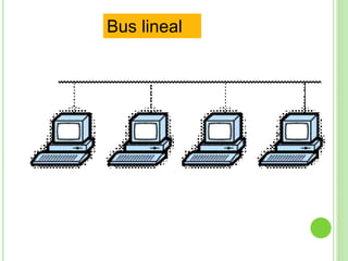 Bus lineal 
 