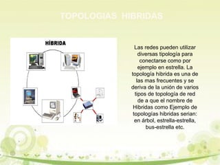 TOPOLOGIAS HIBRIDAS 
Las redes pueden utilizar 
diversas tipología para 
conectarse como por 
ejemplo en estrella. La 
topología hibrida es una de 
las mas frecuentes y se 
deriva de la unión de varios 
tipos de topología de red 
de a que el nombre de 
Hibridas como Ejemplo de 
topologías hibridas serian: 
en árbol, estrella-estrella, 
bus-estrella etc. 
 