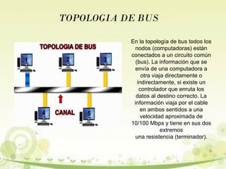 TOPOLOGIA DE BUS 
En la topología de bus todos los 
nodos (computadoras) están 
conectados a un circuito común 
(bus). La información que se 
envía de una computadora a 
otra viaja directamente o 
indirectamente, si existe un 
controlador que enruta los 
datos al destino correcto. La 
información viaja por el cable 
en ambos sentidos a una 
velocidad aproximada de 
10/100 Mbps y tiene en sus dos 
extremos 
una resistencia (terminador). 
 