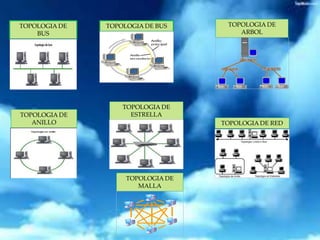 TOPOLOGIA DE 
BUS 
TOPOLOGIA DE BUS TOPOLOGIA DE 
ARBOL 
TOPOLOGIA DE 
ANILLO 
TOPOLOGIA DE 
ESTRELLA 
TOPOLOGIA DE RED 
TOPOLOGIA DE 
MALLA 
