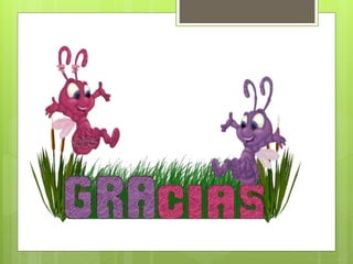 Topologias y protocolos de red