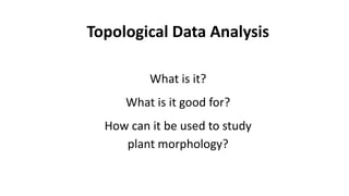 Topological Data Analysis
What is it?
What is it good for?
How can it be used to study
plant morphology?
 
