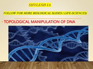 SHYLESH IA
FOLLOW FOR MORE BIOLOGICAL SLIDES ( LIFE-SCIENCES)
• TOPOLOGICAL MANIPULATION OF DNA
 