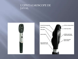  Vascularisation complexe:Artère centrales de la rétine + Vaisseaux choroïdiens. 