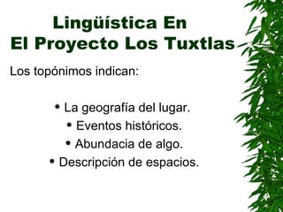 Lingüística En  El Proyecto Los Tuxtlas Los topónimos indican:  La geografía del lugar.  Eventos históricos. Abundacia de algo. Descripción de espacios. 