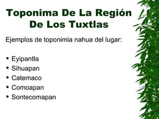 Toponima De La Región De Los Tuxtlas Ejemplos de toponimia nahua del lugar:  Eyipantla Sihuapan Catemaco Comoapan Sontecomapan 