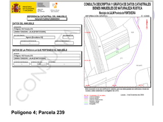Polígono 4; Parcela 239

 