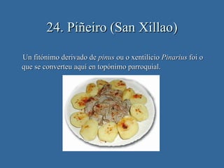 24. Piñeiro (San Xillao)

Un fitónimo derivado de pinus ou o xentilicio Pinarius foi o
que se converteu aquí en topónimo parroquial.
 