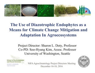 The Use of Diazotrophic Endophytes as a
Means for Climate Change Mitigation and
Adaptation In Agroecosystems
Project Director: Sharon L. Doty, Professor
Co-PD: Soo-Hyung Kim, Assoc. Professor
University of Washington, Seattle
NIFAAgroclimatology Project Directors Meeting
December 16-18, 2016
 