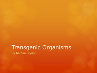 Transgenic Organisms
By Nathan Bryant
 