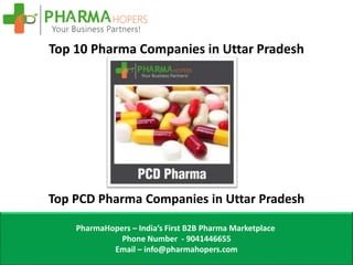 Top 10 Pharma Companies in Uttar Pradesh
Top PCD Pharma Companies in Uttar Pradesh
PharmaHopers – India’s First B2B Pharma Marketplace
Phone Number - 9041446655
Email – info@pharmahopers.com
 