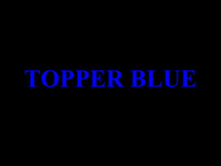 TOPPER BLUE
 