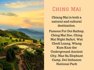 Ching Mai
Chiang Mai is both a
natural and cultural
destination.
Famous For Doi Suthep,
Ching Mai Zoo, Ching
Mai Night Safari, Wat
Chedi Luang, Wiang
Kum Kam the
Underground Ancient
City, Mae Sa Elephant
Camp, Doi Inthanon
National Park
 