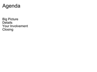 Agenda Big Picture Details Your Involvement Closing 