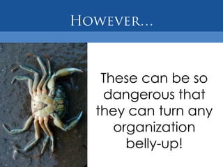 These can be so
 dangerous that
they can turn any
   organization
     belly-up!
 