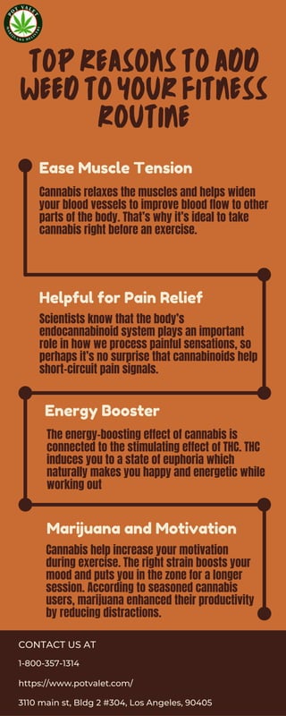 TOP REASONS TO ADD
WEED TO YOUR FITNESS
ROUTINE
Cannabis relaxes the muscles and helps widen
your blood vessels to improve blood flow to other
parts of the body. That’s why it’s ideal to take
cannabis right before an exercise.
Ease Muscle Tension
Helpful for Pain Relief
Scientists know that the body’s
endocannabinoid system plays an important
role in how we process painful sensations, so
perhaps it’s no surprise that cannabinoids help
short-circuit pain signals.
Energy Booster
The energy-boosting effect of cannabis is
connected to the stimulating effect of THC. THC
induces you to a state of euphoria which
naturally makes you happy and energetic while
working out
Marijuana and Motivation
Cannabis help increase your motivation
during exercise. The right strain boosts your
mood and puts you in the zone for a longer
session. According to seasoned cannabis
users, marijuana enhanced their productivity
by reducing distractions.
CONTACT US AT
1-800-357-1314
https://www.potvalet.com/
3110 main st, Bldg 2 #304, Los Angeles, 90405
 